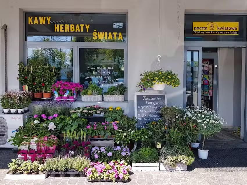 Kwiaciarnia Finezja Młociny Warszawa Bielany – bukiety ślubne, wiązanki, wieńce pogrzebowe