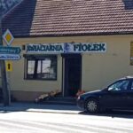 Kwiaciarnia Fiołek