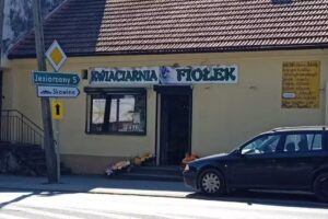 Kwiaciarnia Fiołek