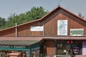 Kwiaciarnia – Firma Sky Ilona Holweg