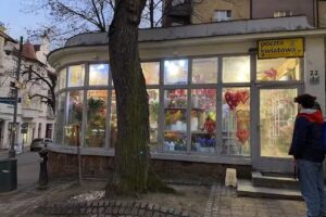 Kwiaciarnia FloraRoom Storczyk