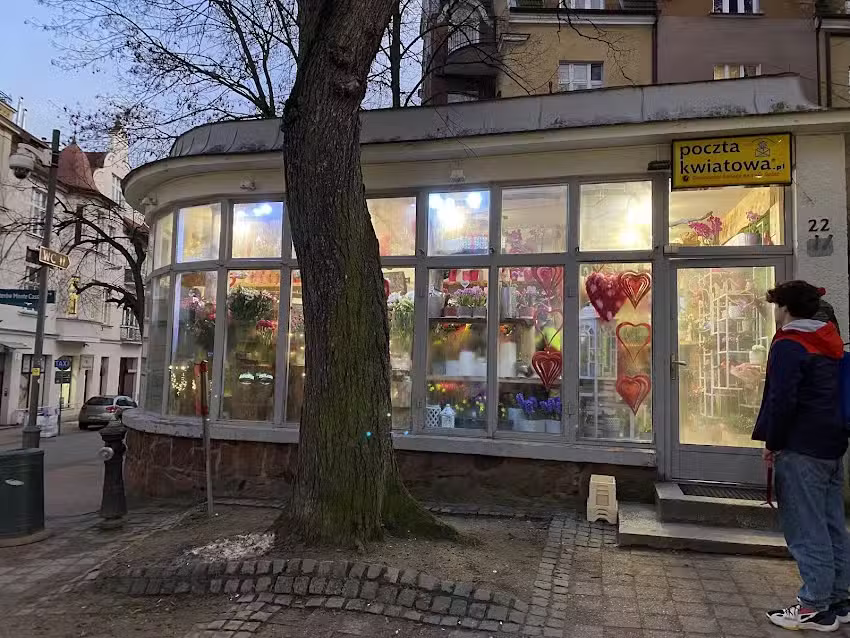 Kwiaciarnia FloraRoom Storczyk