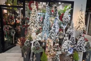 Kwiaciarnia FloraVita