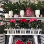 Kwiaciarnia „Flores”