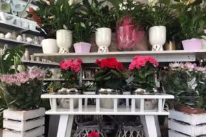 Kwiaciarnia „Flores”