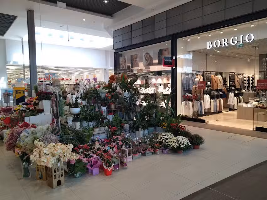 Kwiaciarnia Floribunda CH Karolinka: kwiaty, bukiety