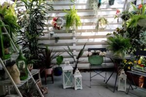 Kwiaciarnia „Floris”. M. Cichoń.