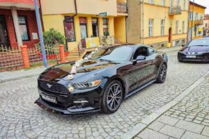 Kwiaciarnia-Florystyka. Bonsai