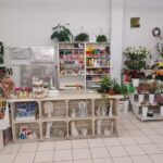 Kwiaciarnia Flower Room