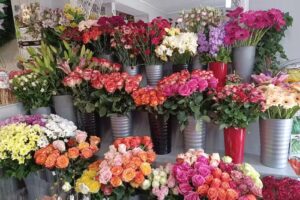 Kwiaciarnia FREZJA Marta Nalewaj-Buśko