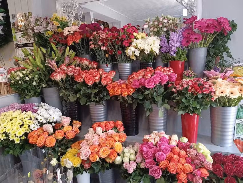 Kwiaciarnia FREZJA Marta Nalewaj-Buśko