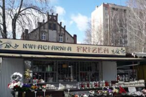 Kwiaciarnia Frizea Jadwiga Marcinkiewicz