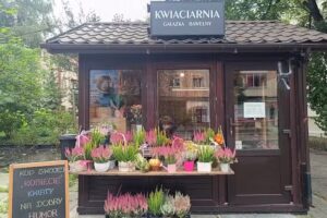 Kwiaciarnia Gałązka Bawełny