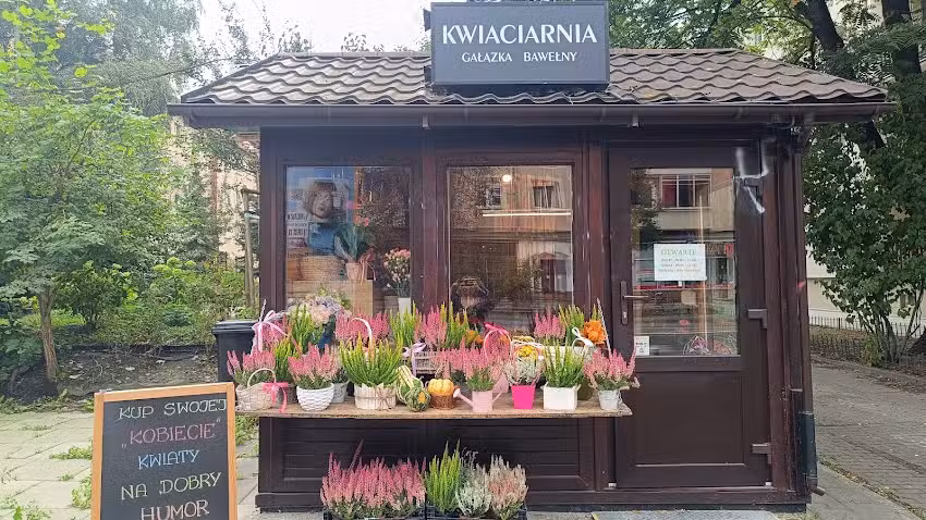 Kwiaciarnia Gałązka Bawełny