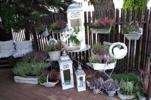 Kwiaciarnia Gardenia