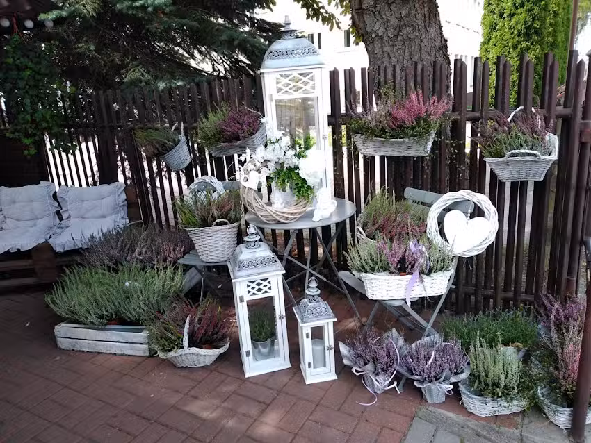 Kwiaciarnia Gardenia