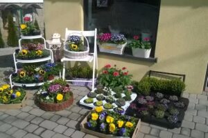 Kwiaciarnia Gardenia w Brzeznej