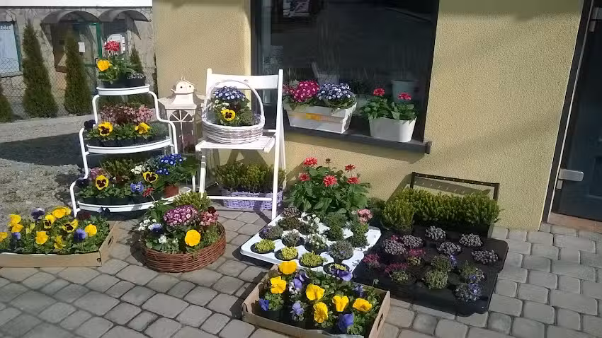Kwiaciarnia Gardenia w Brzeznej