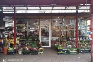 Kwiaciarnia Gladiflora