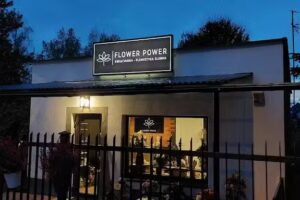 Kwiaciarnia Góra Kalwaria Flower Power – Balony z Helem