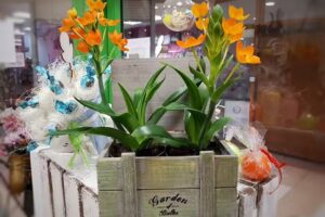 Kwiaciarnia Gwiezdny Pył