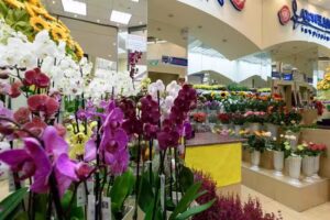 Kwiaciarnia H. Skrzydlewska