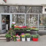 Kwiaciarnia Ha!Bazie