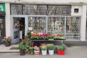 Kwiaciarnia Ha!Bazie