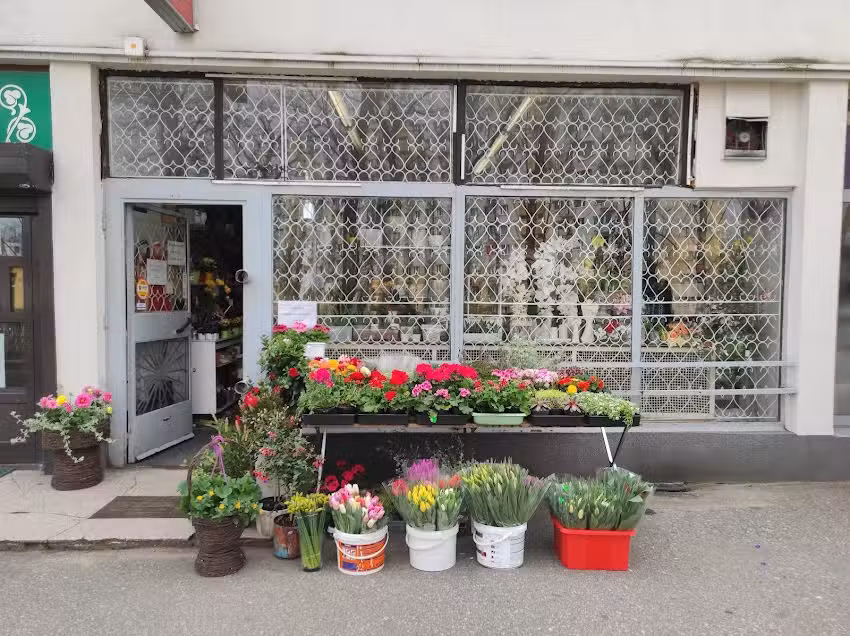 Kwiaciarnia Ha!Bazie