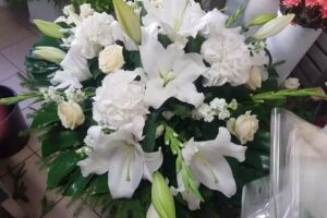 Kwiaciarnia Hallera Joanna Holc