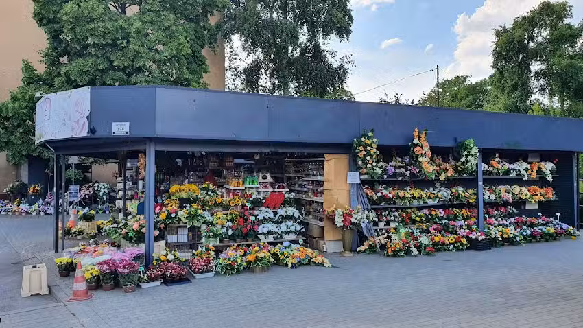 Kwiaciarnia Honoratka