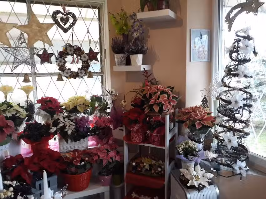 Kwiaciarnia Hortensja