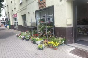 Kwiaciarnia Hortensja