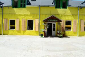 Kwiaciarnia „Interflora”