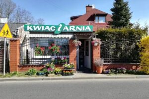 Kwiaciarnia. Iwona Stasiuk