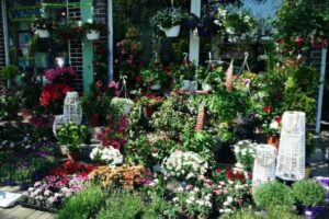 Kwiaciarnia Jakub Kaznowski