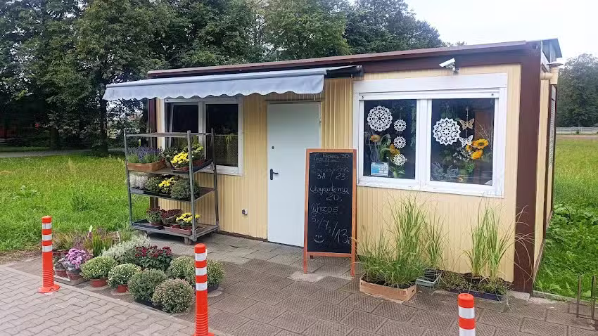 Kwiaciarnia Jaśmin Agnieszka Kujawska