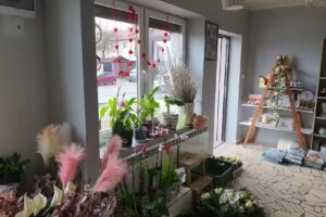 Kwiaciarnia Jastrzębia