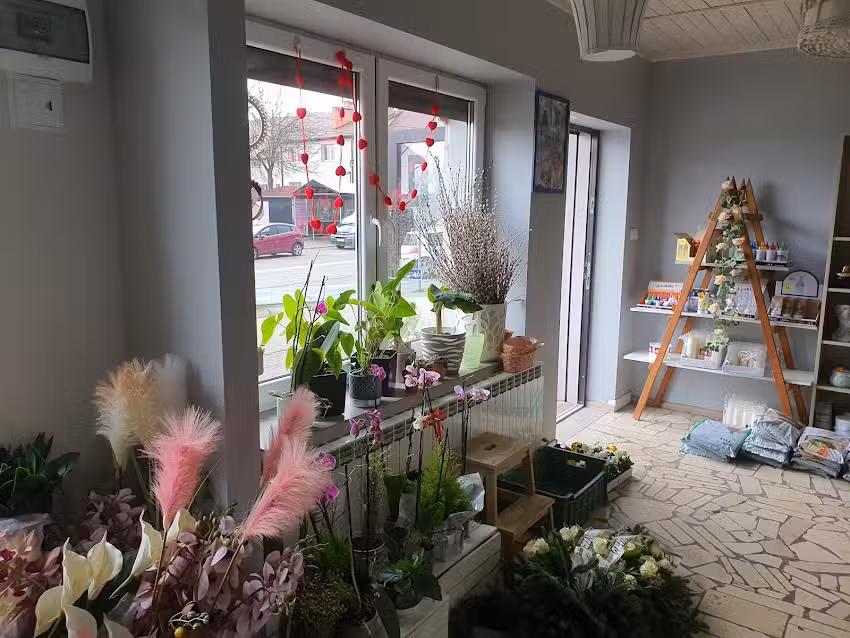 Kwiaciarnia Jastrzębia