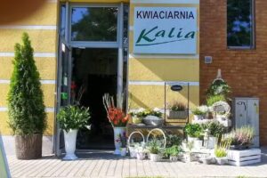 Kwiaciarnia Kalia | Kwiatomat 24h