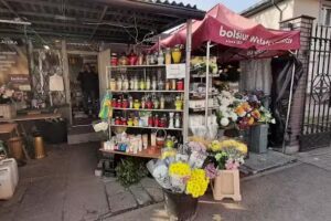 Kwiaciarnia Kalijka Katarzyna Krygier Żelisko