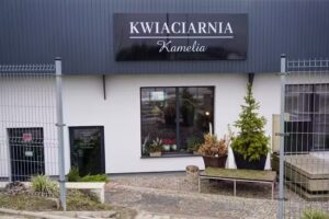 Kwiaciarnia Kamelia