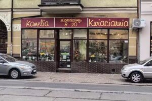Kwiaciarnia Kamelia