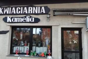 Kwiaciarnia Kamelia Teresa Cichocka