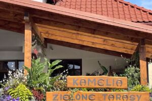 Kwiaciarnia Kamelia Zielone Tarasy