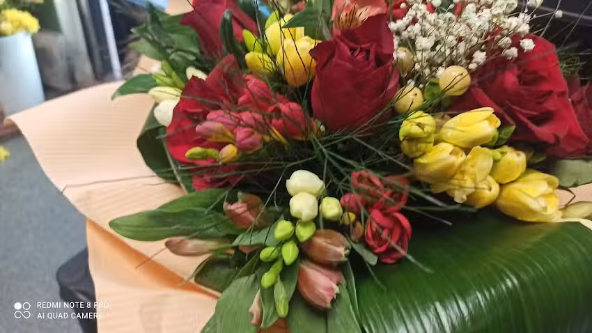 kwiaciarnia Katarzyna Długosz