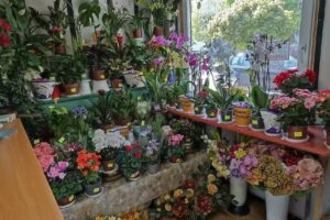 Kwiaciarnia Katarzynka