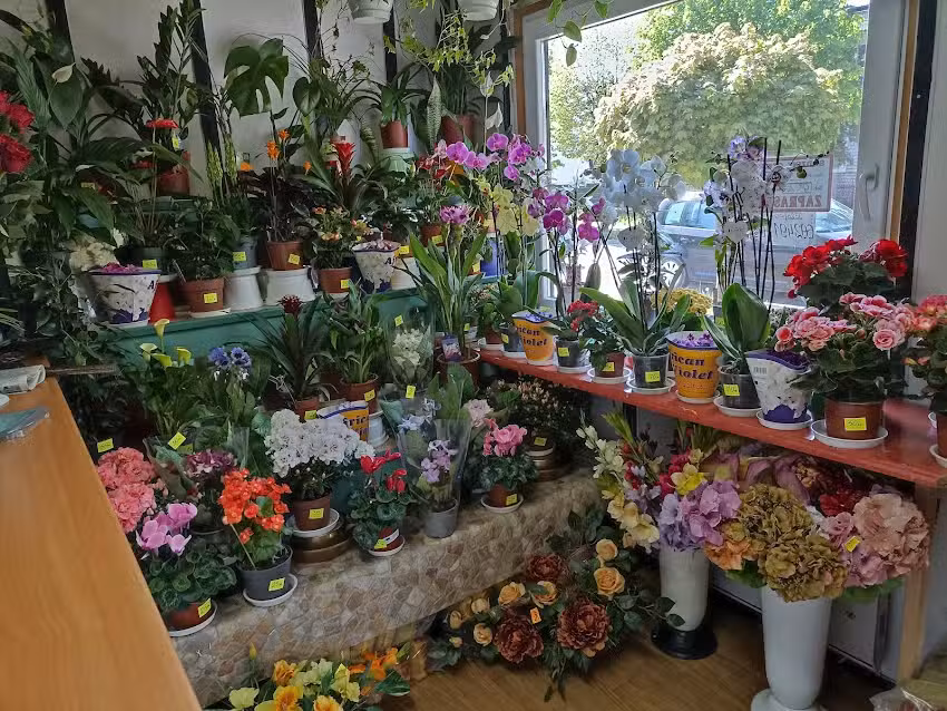 Kwiaciarnia Katarzynka