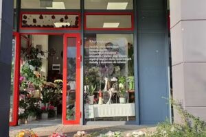 Kwiaciarnia Klorin W. Piórkowska K. Sitarz S.C.