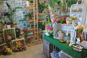 Kwiaciarnia Kolorowa Zieleń